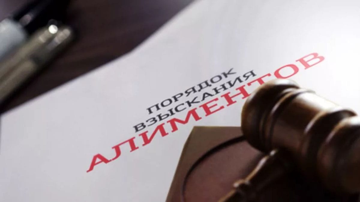 Порядок взыскания алиментов